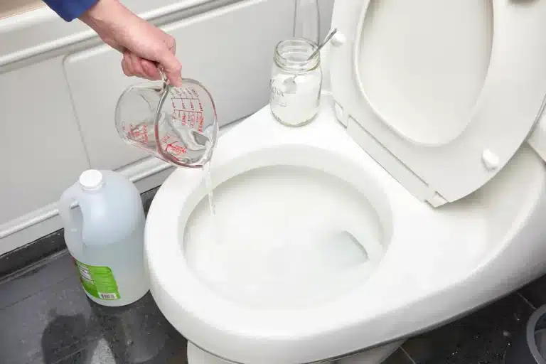 DIY toilet repair