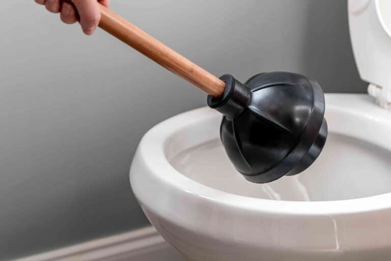 toile plunger