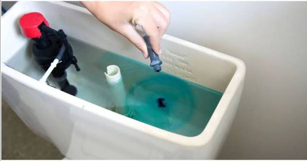 dye drop in toilet